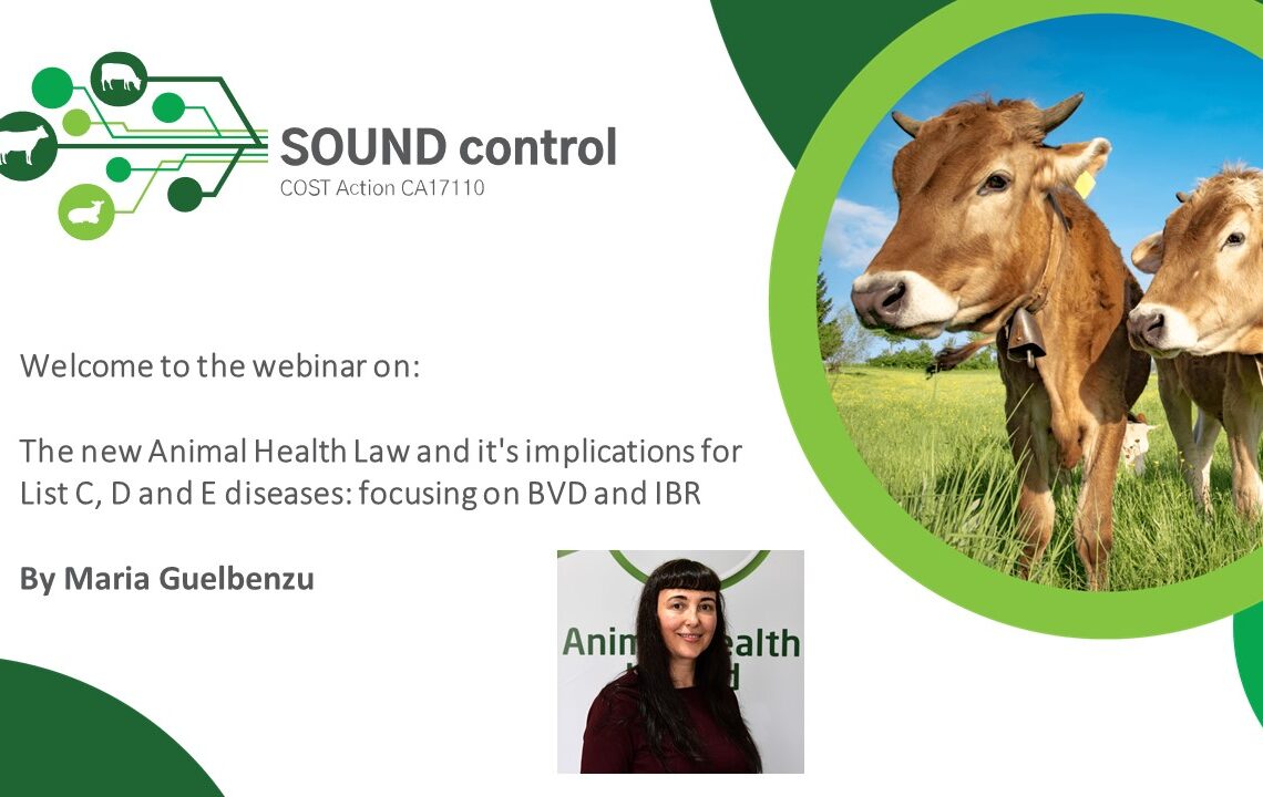 Webinar "The new Animal Health Law: focusing on BVD and IBR" by Maria Guelbenzu 1